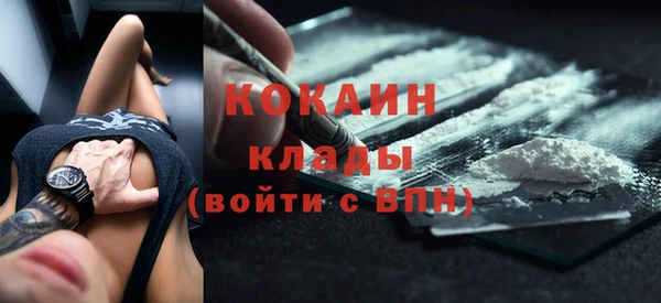 шишки Няндома