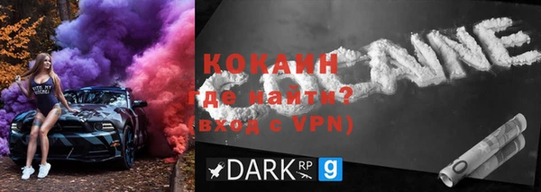 шишки Няндома