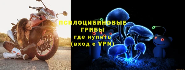 шишки Няндома