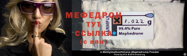 шишки Няндома