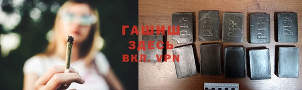 шишки Няндома