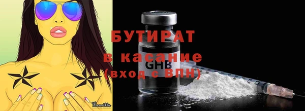 шишки Няндома