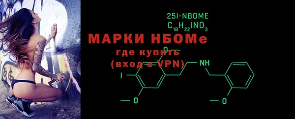 шишки Няндома