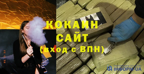 шишки Няндома