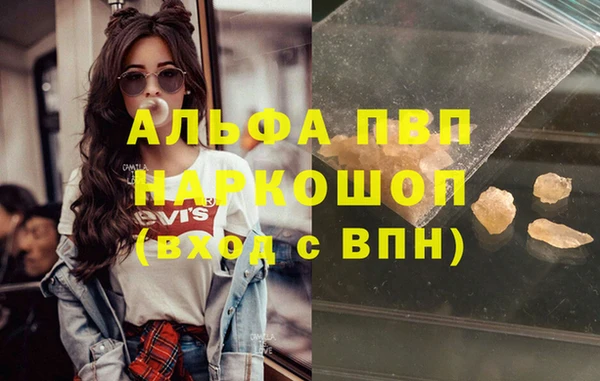 шишки Няндома