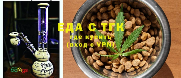 шишки Няндома