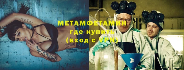 шишки Няндома