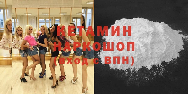 шишки Няндома