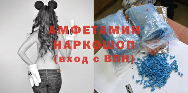 шишки Няндома