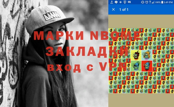 шишки Няндома