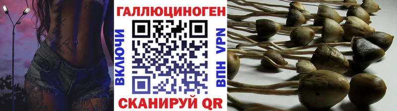 Псилоцибиновые грибы прущие грибы  даркнет сайт  Тбилисская 